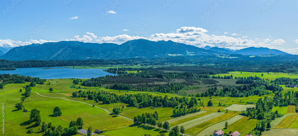Fototapeta premium Sonniger Sommertag im oberbayerischen Alpenvorland bei Uffing am Staffelsee