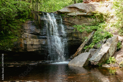 Scenic View of waterfall in forest photo