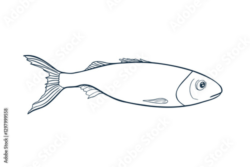 Sardine monochrome vector illustration hand drawn. Herring black white drawing for seafood logos, packaging. Minimalist fish silhouette line art. Simple anchovy contour linear style for prints.