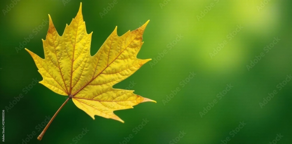 Shiny yellow leaf gold foil texture on a green stem, foliage, golden, nature Shiny yellow leaf gold foil texture on a green stem, foliage, golden, nature
