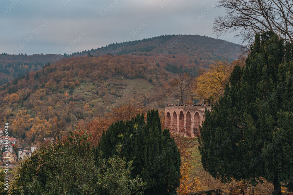 Obraz premium autumn landscape in the Heidelberg, Germany