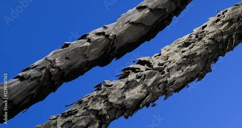 3D illustration of the difference between healthy and damaged hair.  microscopic changes in the scales of black hair.
