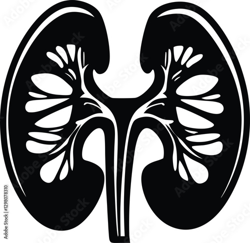 Black and White Kidney Anatomy Silhouette.