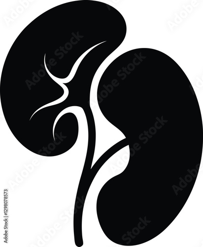 Black and White Kidney Anatomy Silhouette.