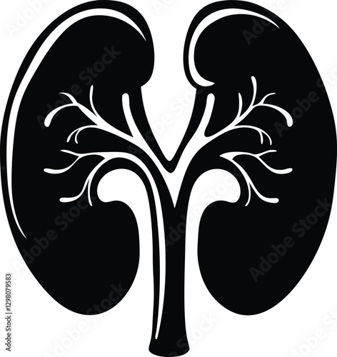 Black and White Kidney Anatomy Silhouette.