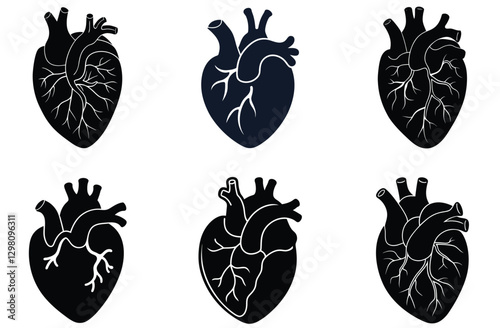 Six Black Silhouettes of Anatomical Hearts with Varying Structures