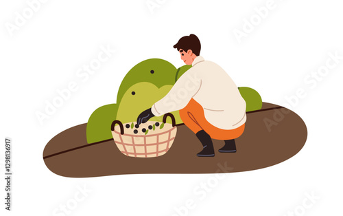 Agriculture worker gathers ripe berries from bush on farm. Farmer works, picks up crop in basket. Person farming, collects harvest from shrub. Flat isolated vector illustration on white background