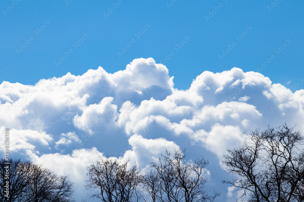 Deciduous tree on blue and cloudy sky background. Tree silhouettes. Big white clouds. Copy space, blank, empty. Horizontal photo. No people, nobody