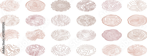 Tree ring wood circle set. Hand drawn tree ring pattern, line ripple circle wood texture. Wood organic slice line design.