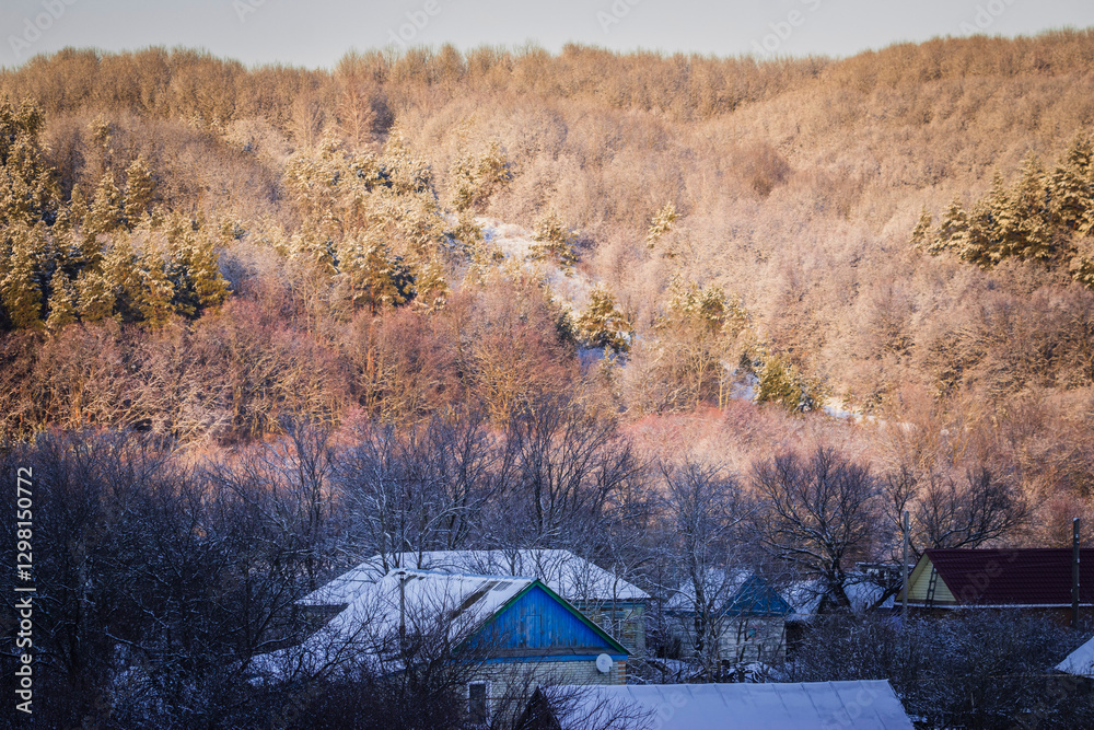 Obraz premium winter forest landscape in the wild
