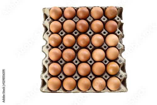 Chicken eggs isolated on white background