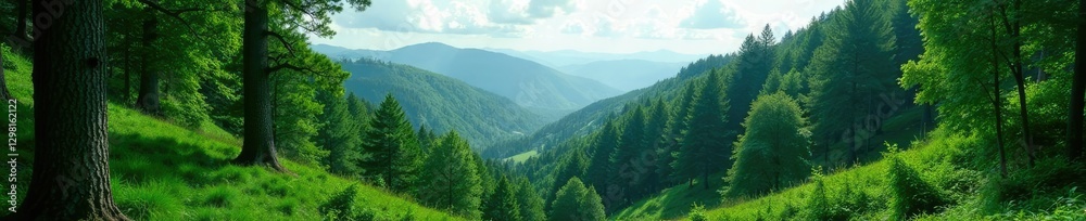 Fototapeta premium Dense forest with tall trees and hills in the background, landscape, trees, green