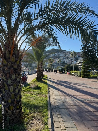 Palm Tree Promenade in Alanya, Turkey