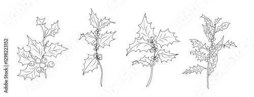 Set of holly line art drawings. December birth month flower. Hand drawn monochrome black ink outline vector illustration isolated on white background. Christmas and New Year traditional symbol.
