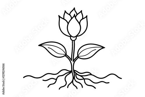 
Plant with Roots Growth Vector Line Art Illustration
