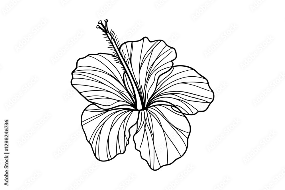 Fototapeta premium Hibiscus Flower Line Art