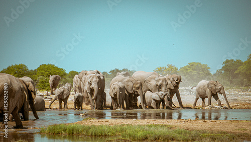 Desert Elephants in Etosha National Park