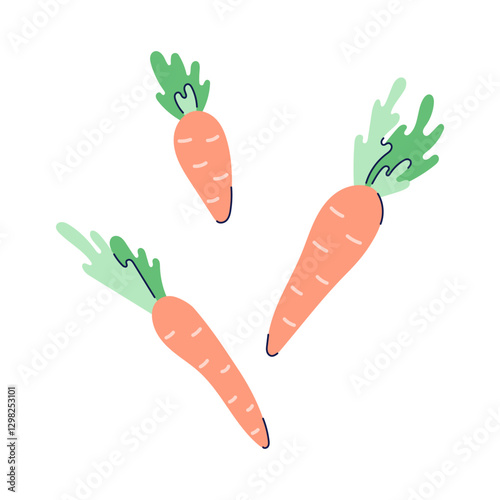 Set of three carrots with green tops. Fresh vegetables hand drawn. Flat illustration with partial outline. Isolated vector illustration.
