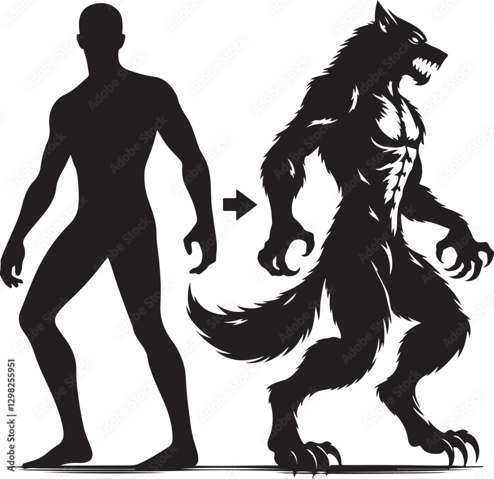 Fototapeta premium Werewolf transformation vector