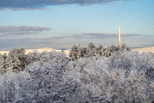 Fotografie Brno, Czech Republic - January 5, 2025: View of a winter snowy forest with frostbitten trees and a chimney in the background