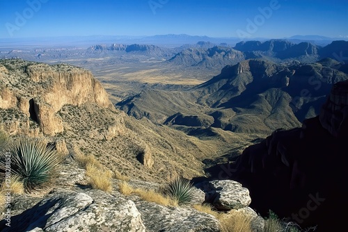 Chihuahuan Desert. Agave Cactus and Chisos Mountains in Big Bend National Park, Texas photo