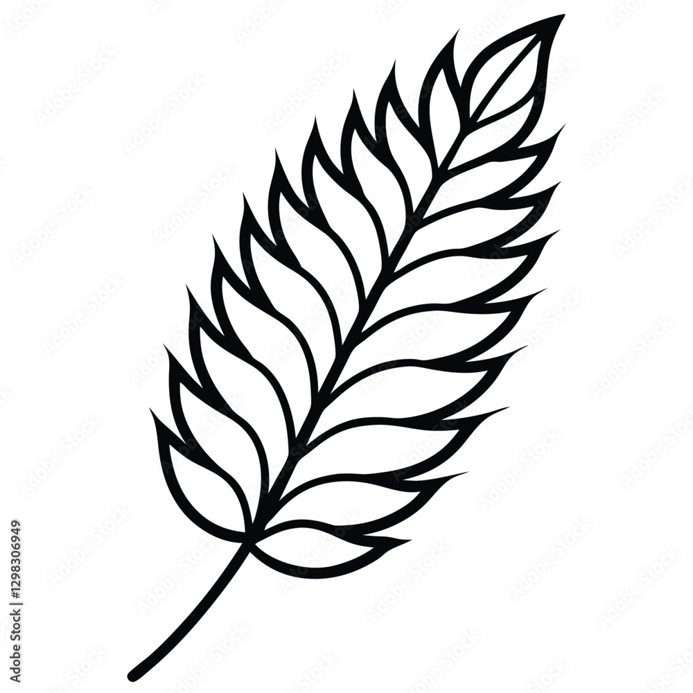 Obraz premium sumac leaf isolated on white background 