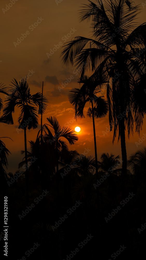 Obraz premium evening sunset vertical photo