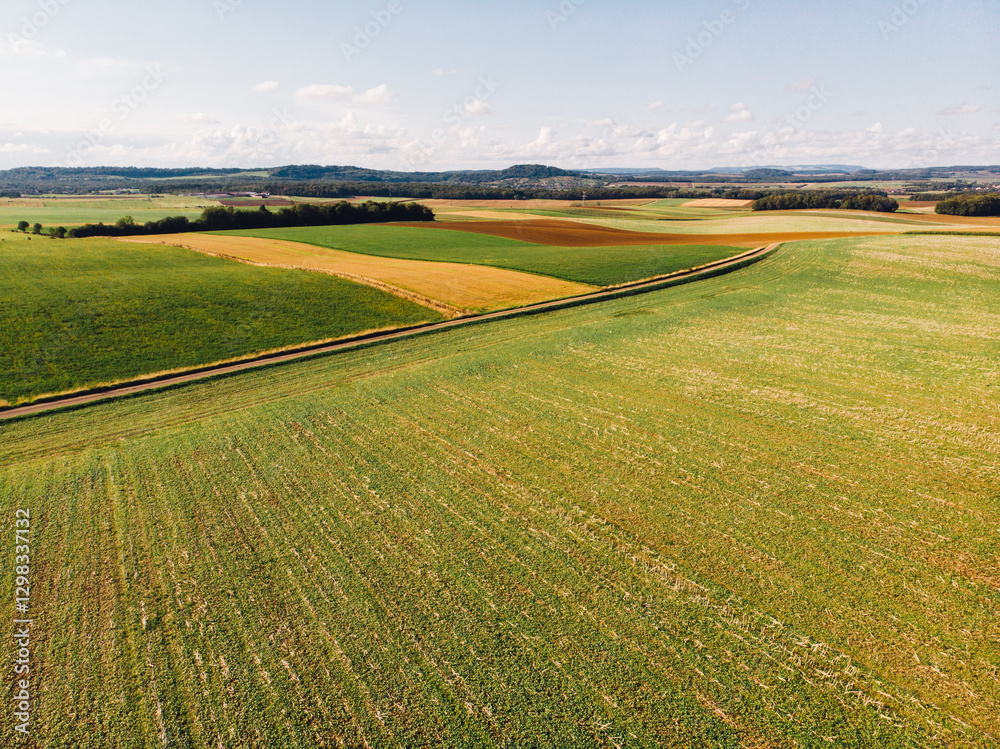 Fototapeta premium Vue aérienne d'une route dans la campagne traversant les prés et les champs. Paysage rural français. France rurale. La campagne en été. col du poirier Vosges
