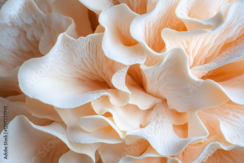 Close-up of pale pink oyster mushrooms.