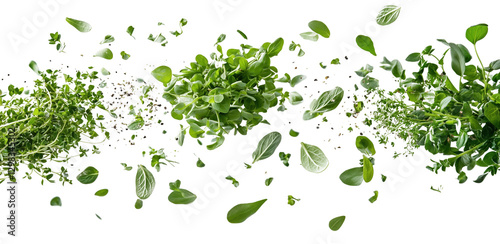 Fresh herbs floating in mid air, showcasing various green leaves and textures, creating vibrant and lively atmosphere