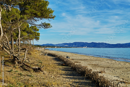 Canvastavla Panorama from the beach of the protected coastal natural area of Sterpaia Piombi