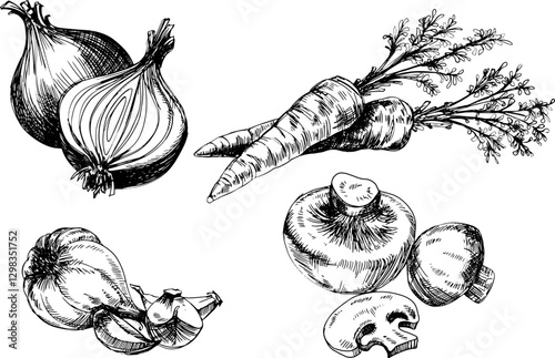 hand drawn  Vegetables Antique Style High Quality Graphic Illustration painted 4 pcs