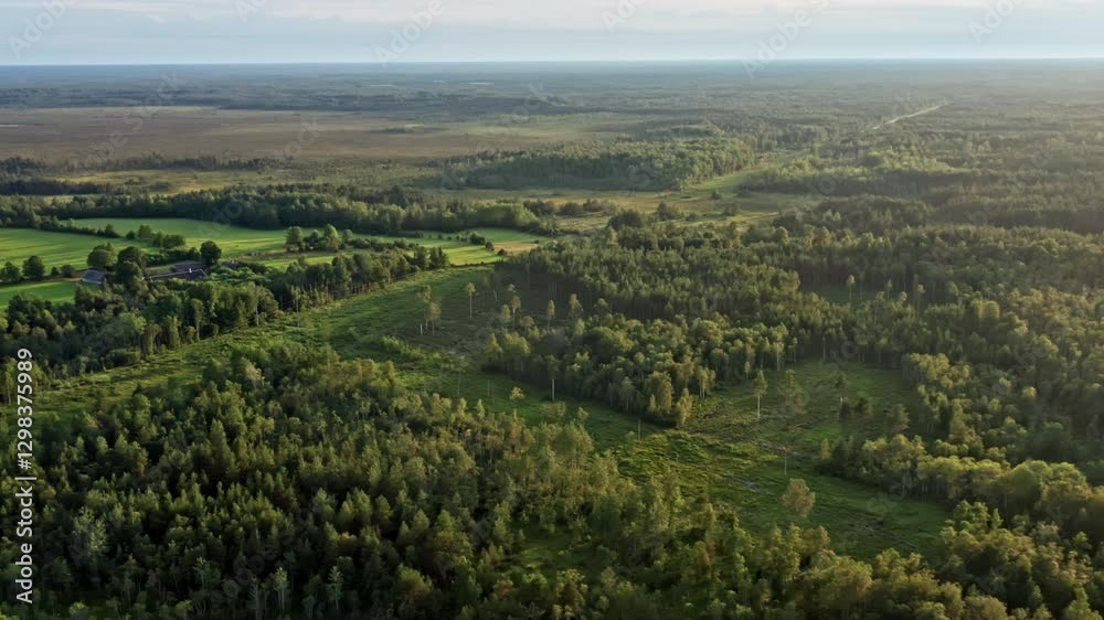 Amazing Flyover of Rural Landscape with Trees and Meadows in Estonia - Dolly Shot and Truck Shot Amazing Flyover of Rural Landscape with Trees and Meadows in Estonia - Dolly Shot and Truck Shot