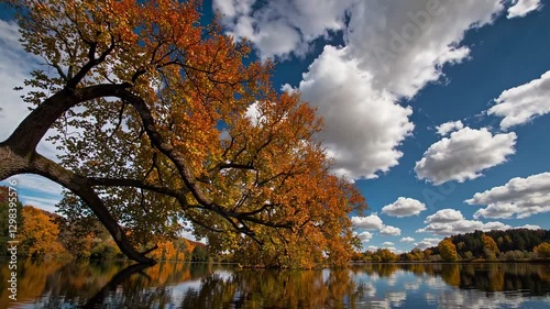 The Tranquil Autumn Lake