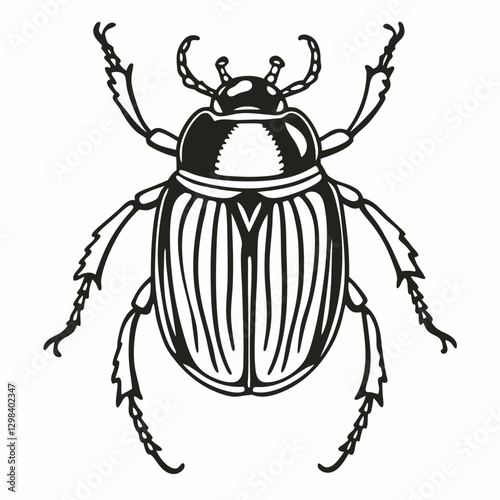 Detailed Vector Illustration of a Black and White Beetle for Nature and Wildlife Design