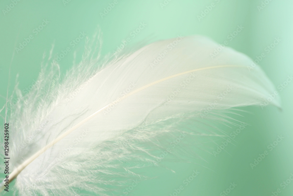 Fototapeta premium Fluffy white feather on light turquoise background, closeup