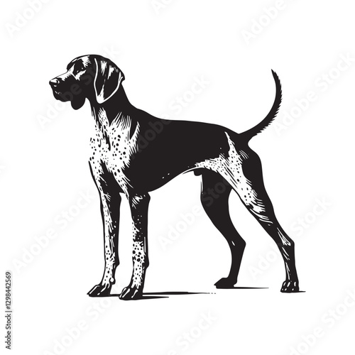 English Pointer Dog Silhouette - Minimalist Dog Design - English Pointer Dog Illustration.
