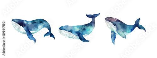 Whale watercolor set isolated on white background. Collection of underwater animal, ocean whale fish, sea nature drawing. Vector illustration