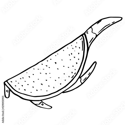 Half Pitahaya slice. Dragon Fruit hand drawn doodle drawing. Tropical food in ink sketch style isolated. Vector manual illustration.
