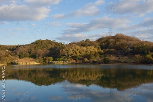 種松山公園西園地　ロウバイの季節　冬