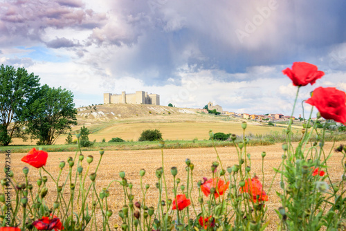 Montealegre de Campos Castle with poppies, Spain