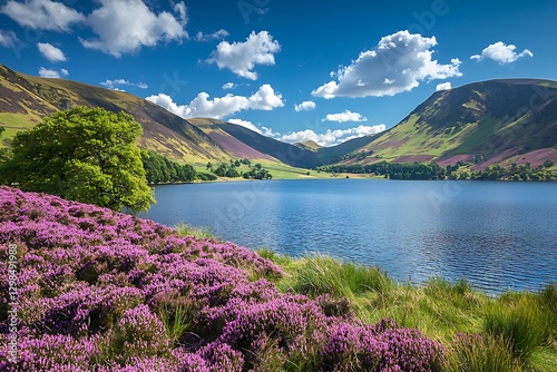A serene mountain lake surrounded by heather fields under a vibrant blue sky