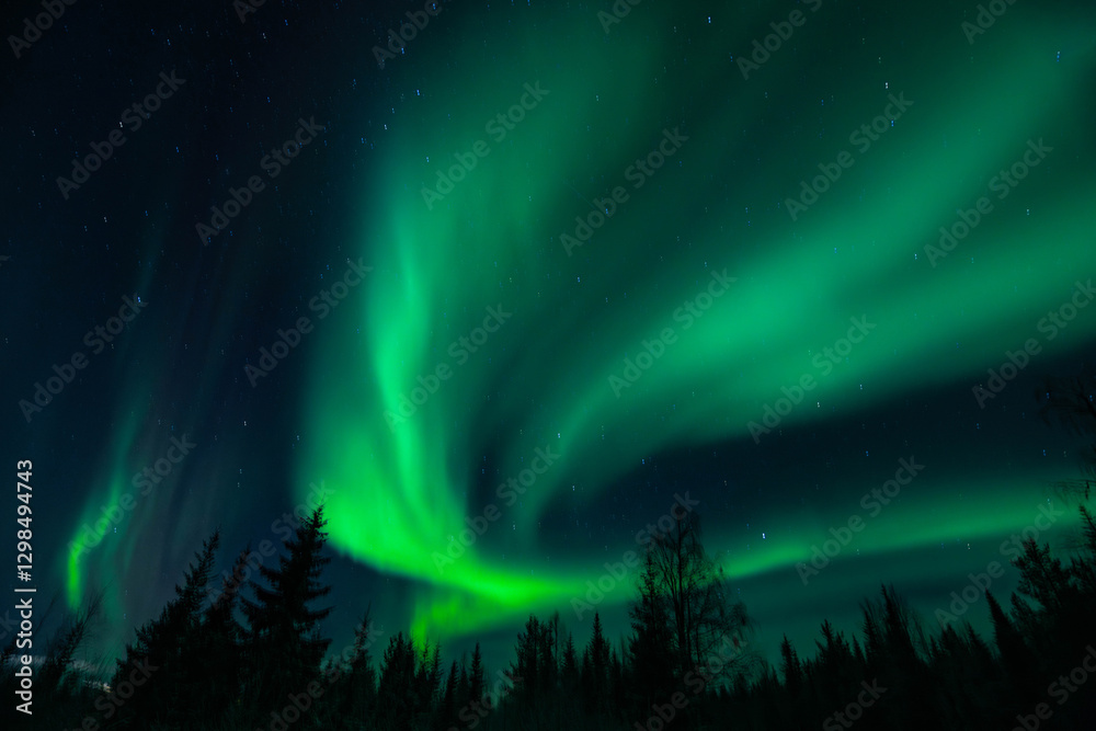 Fototapeta premium Aurora Borealis / Northern Lights in North Finland. Travel Finland Background. In Kittilä / Levi.