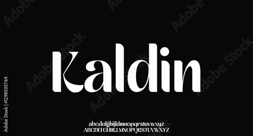 Elegant Minimalist Serif Alphabet Font Collection – Classic and Modern Lettering
