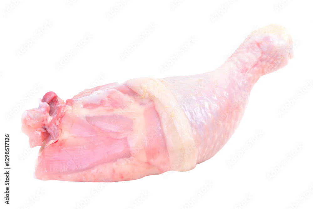 Chicken leg isolated