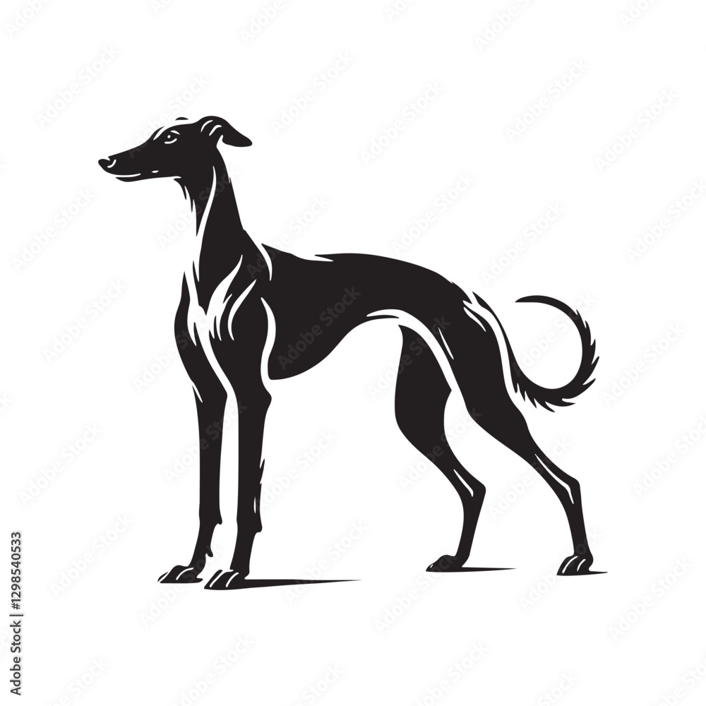 Fototapeta premium Spanish Greyhound Silhouette - Spanish Greyhound Vector - Minimalist Spanish Greyhound Dog Design.
