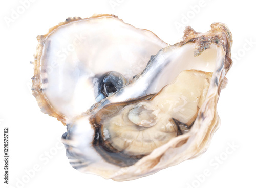 Obraz na płótnie Fresh oysters on white background w salonie