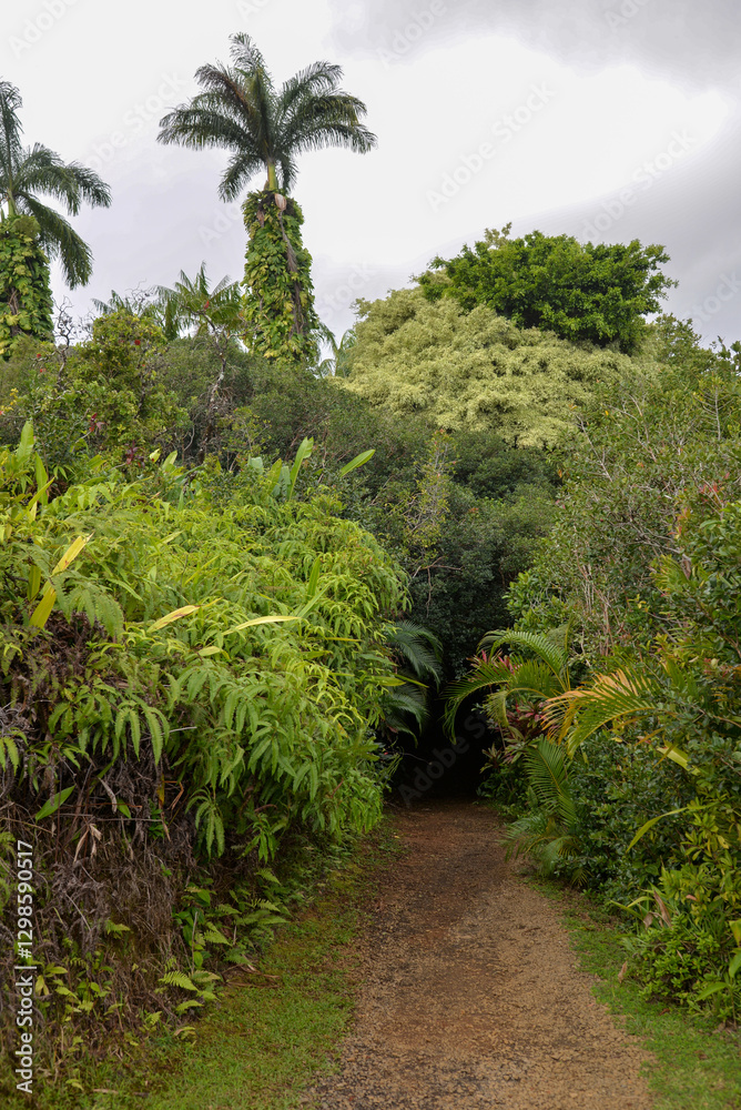 Maui, HI, USA – February 11, 2024: Beautiful Garden of Eden Arboretum located close to the road to Hana Maui, HI, USA – February 11, 2024: Beautiful Garden of Eden Arboretum located close to the road to Hana