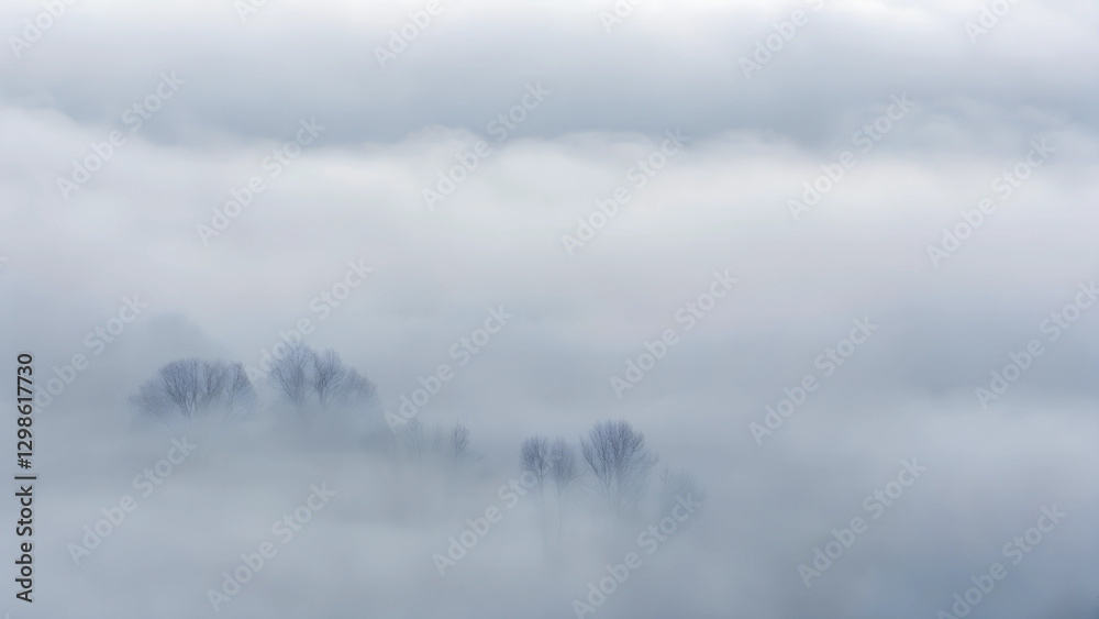 Fototapeta premium Soft mist enveloping distant trees, creating a serene and ethereal landscape