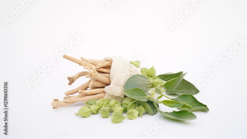Ashwagandha Dry Root Medicinal Herb with Fresh Leaves, also known as Withania Somnifera, Ashwagandha, Indian Ginseng, Poison Gooseberry, or Winter Cherry.